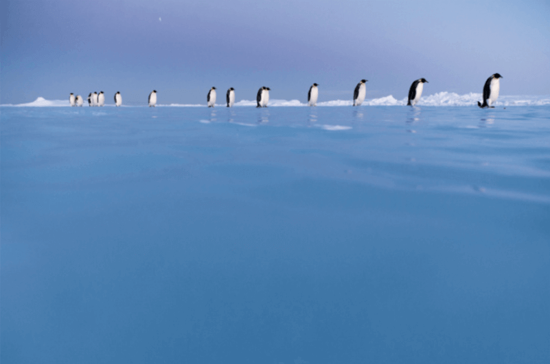 Antarctica Experience barcelona (1) (1)