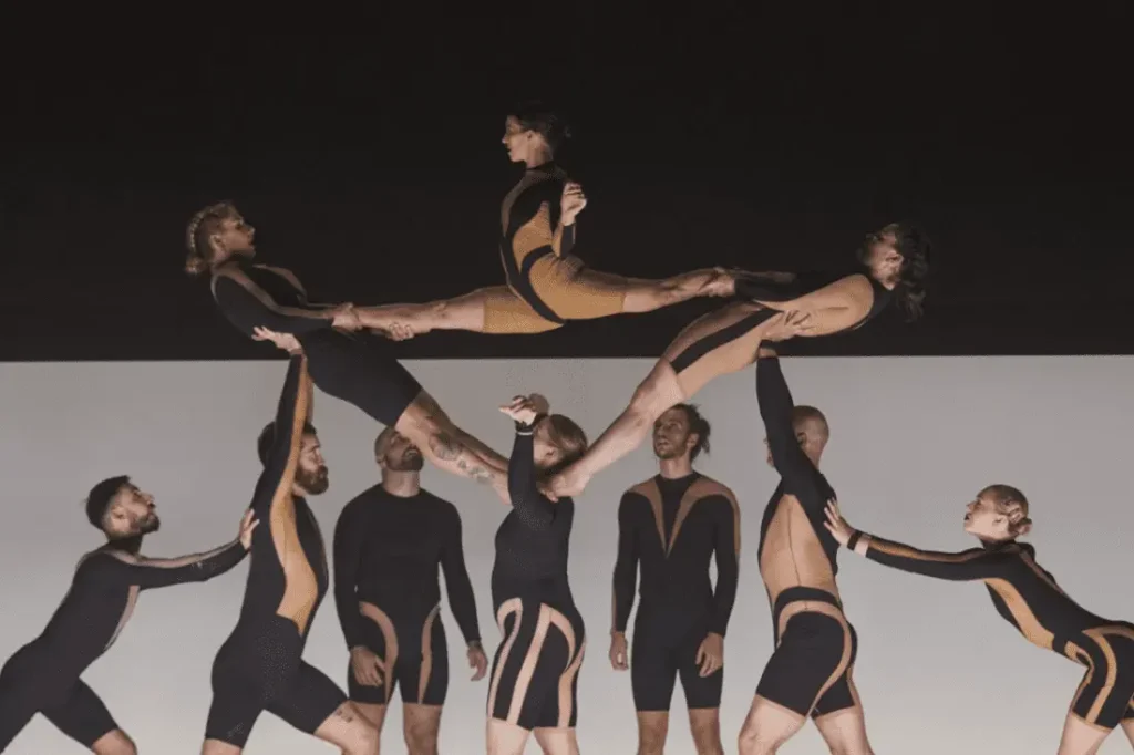 circa wolf barcelona