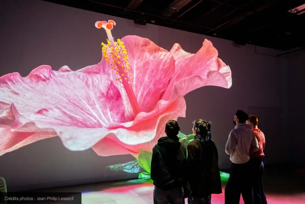 somos naturaleza caixaforum.3