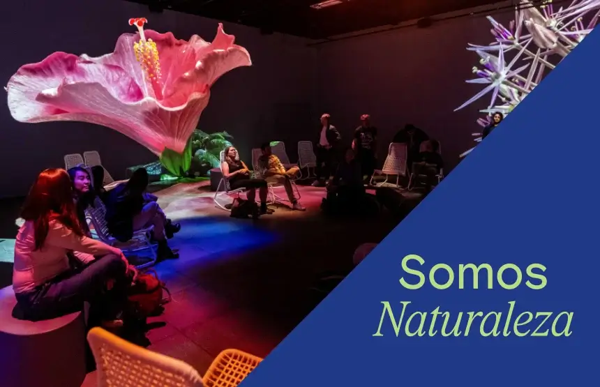 somos naturaleza caixaforum