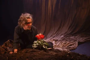 La memòria del gel Sala Versus